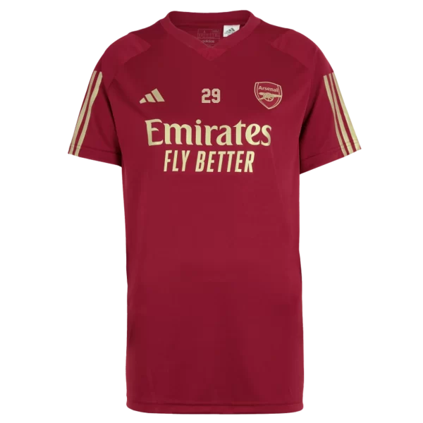 AFC Jerseys Store - arsenal womens 2324 red training shirt – kai havertz Shop Official AFC Third Kits